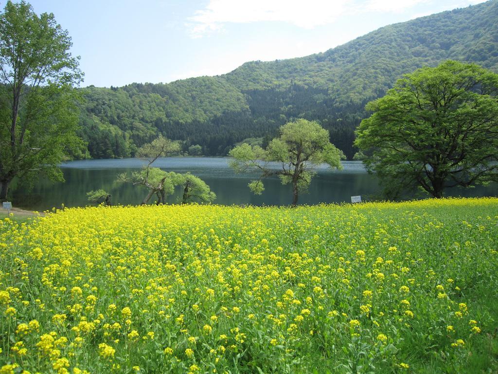 Nozawa Onsen Hotel מראה חיצוני תמונה