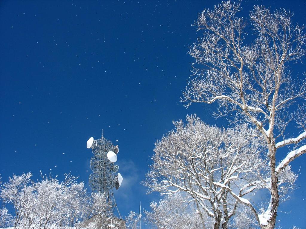 Nozawa Onsen Hotel מראה חיצוני תמונה